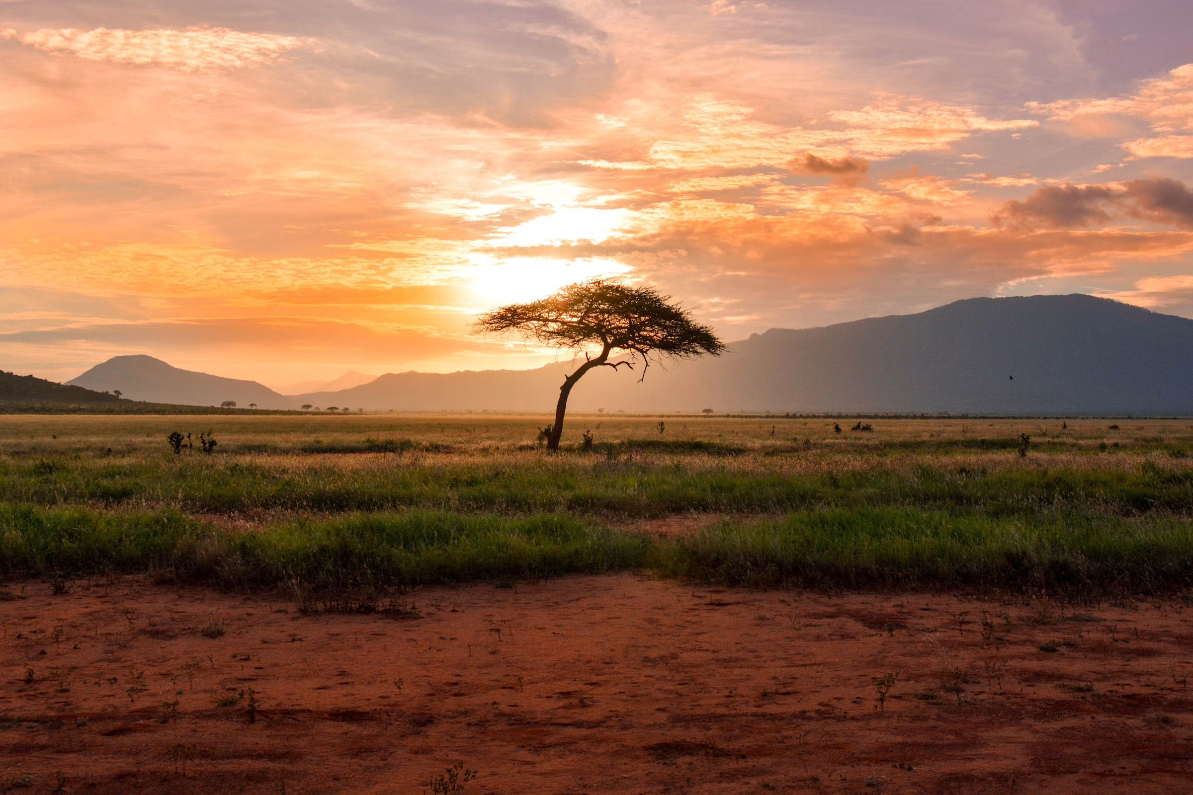 Ndutu