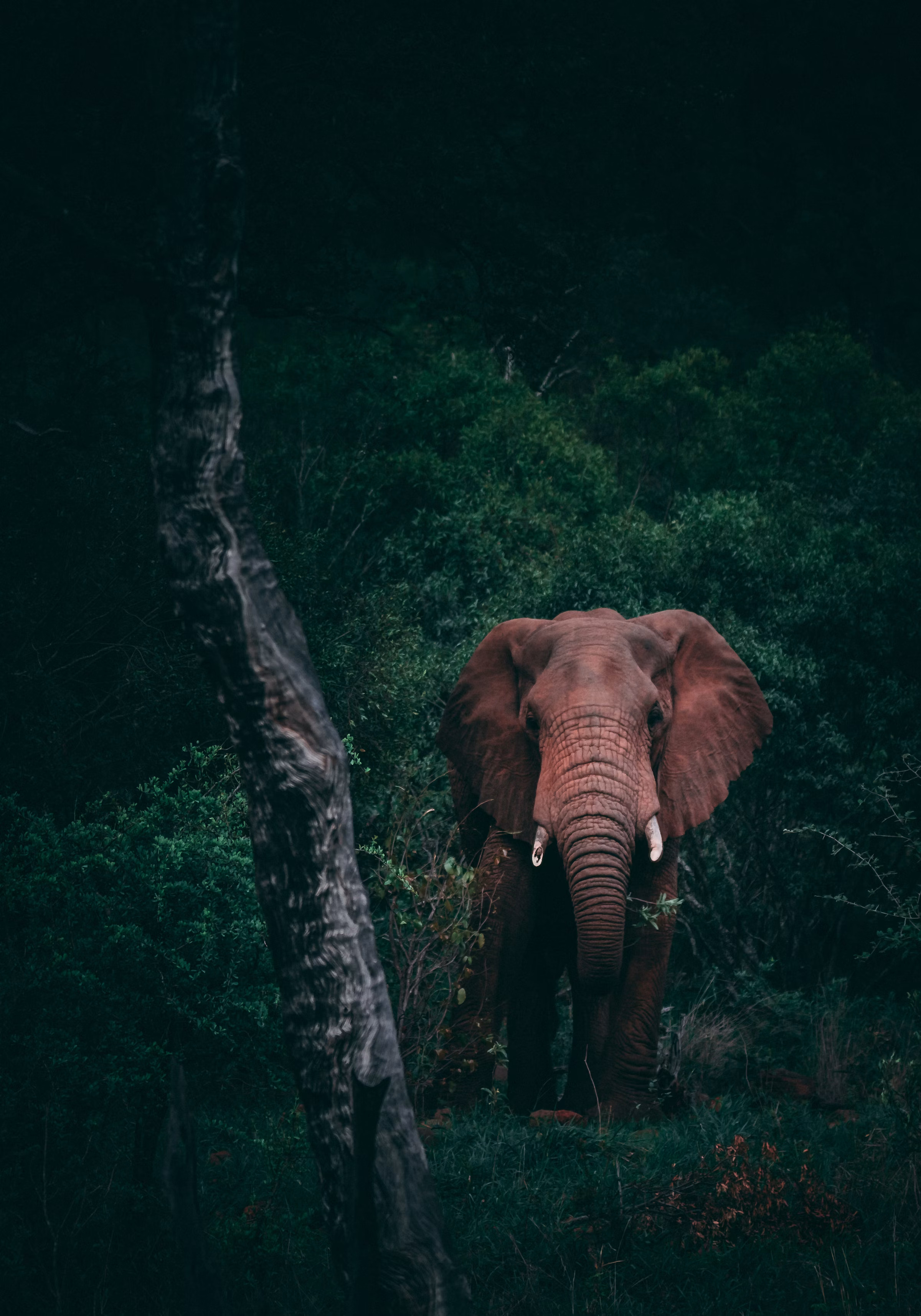 Lake Manyara