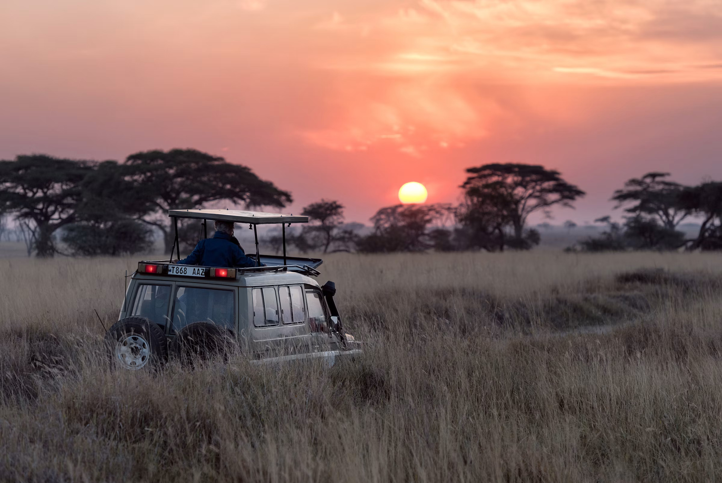 Game drive across the golden plains