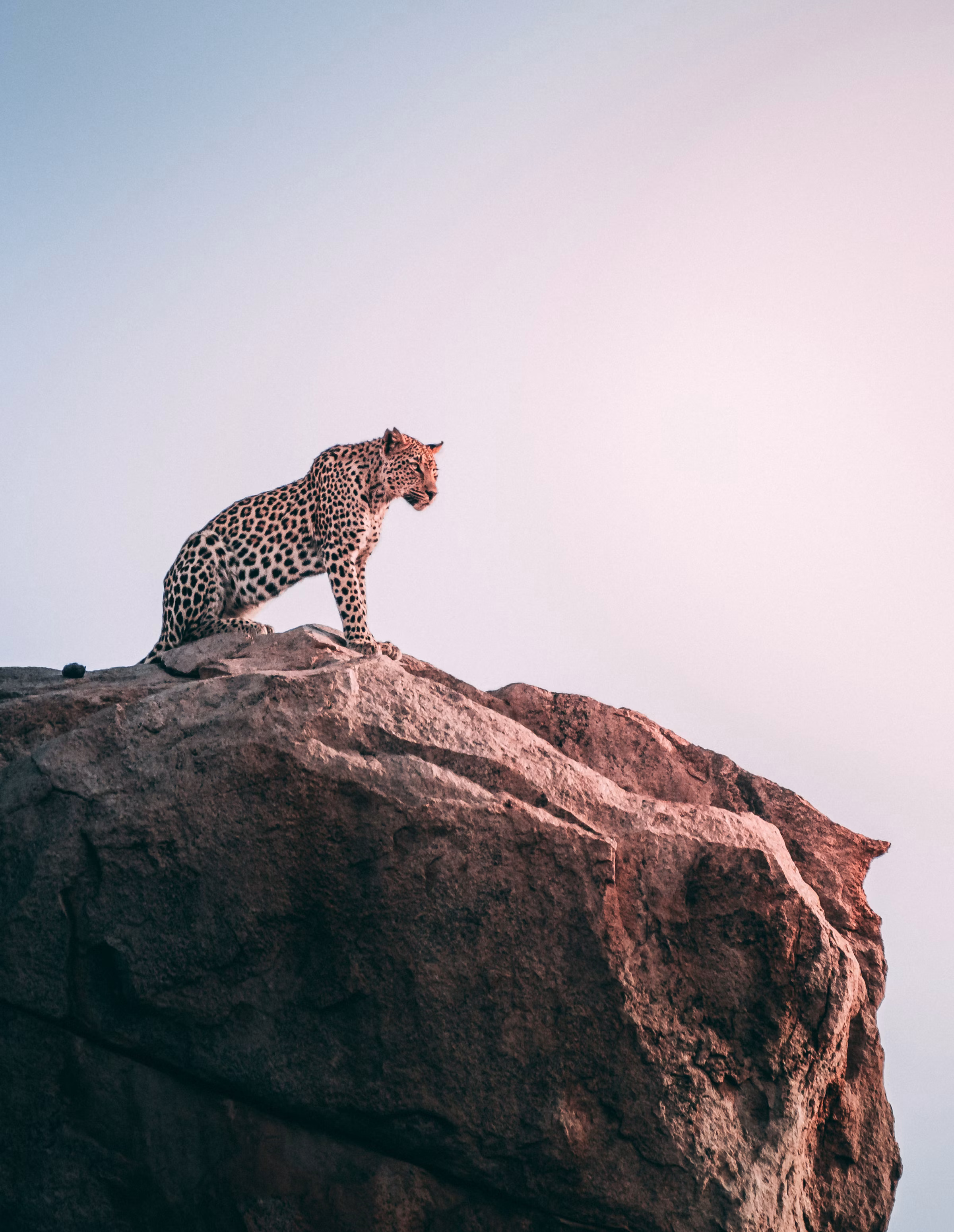 7 Days Tanzania Safari