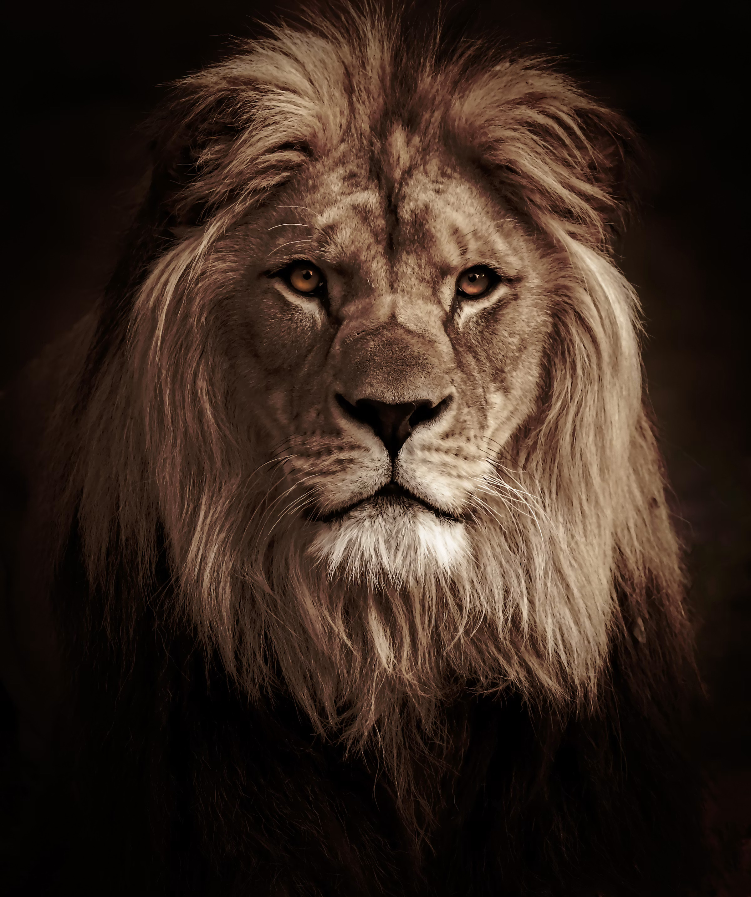 Serengeti
