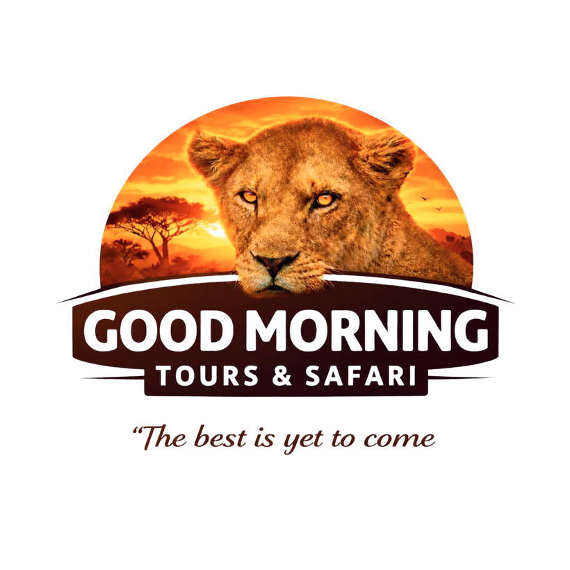 Good Morning Tours & Safari