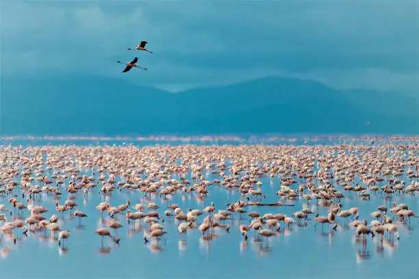 Lake Eyasi